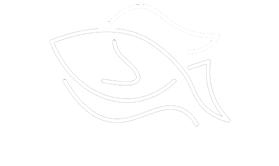 ladyfish logo 1