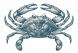 BLUE CRAB
